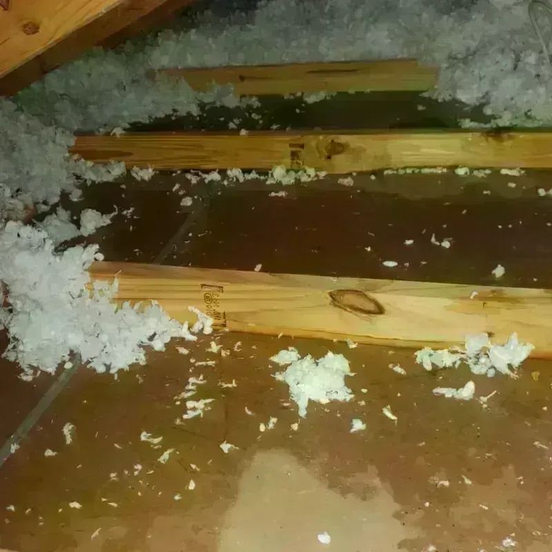 Attic Water Damage in Island City, OR