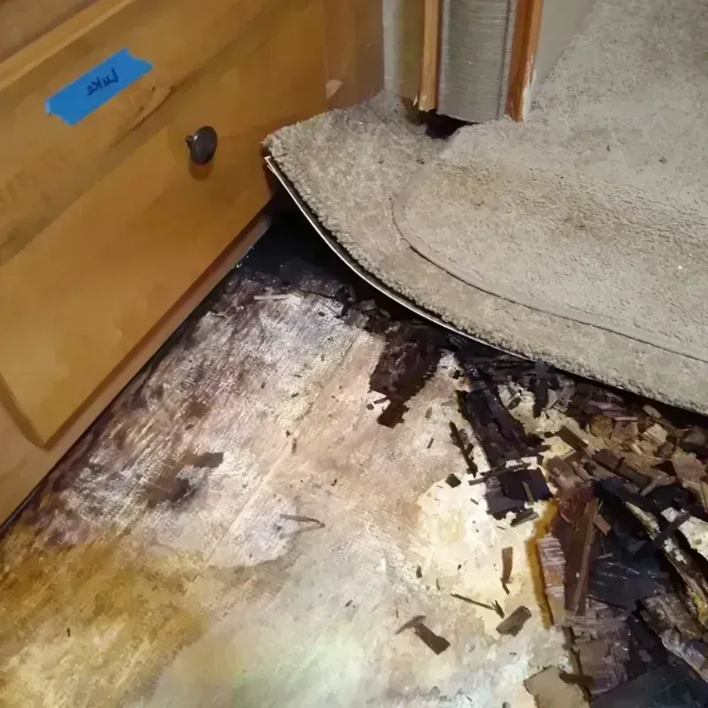 Wood Floor Water Damage in Island City, OR